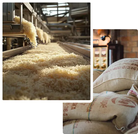 Rice Production