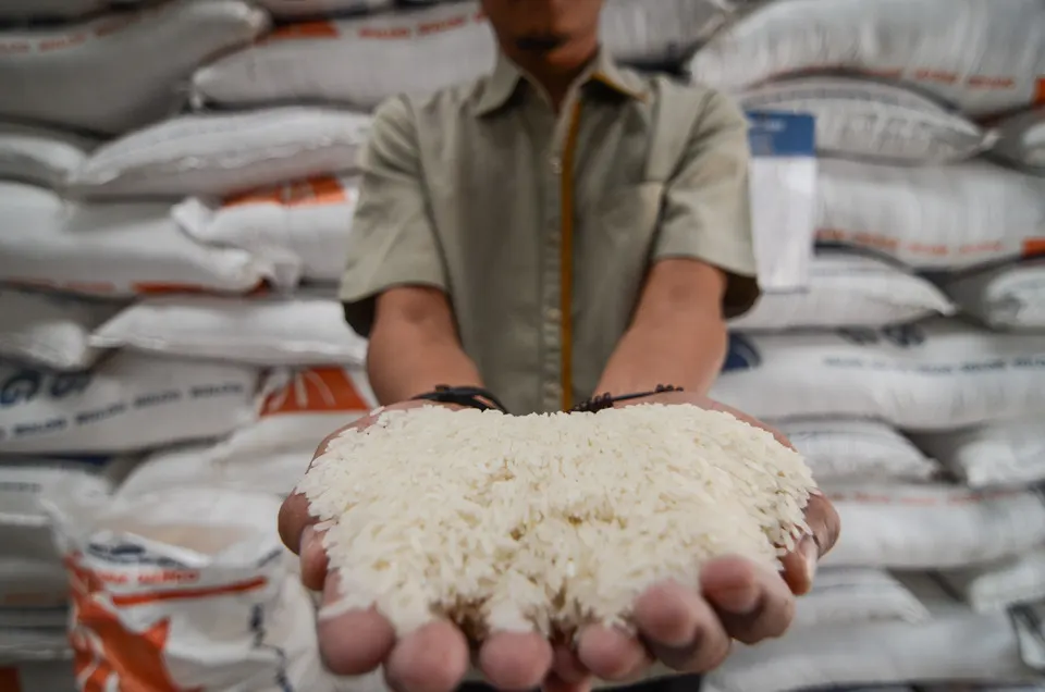 Rice Buyers / Importers
