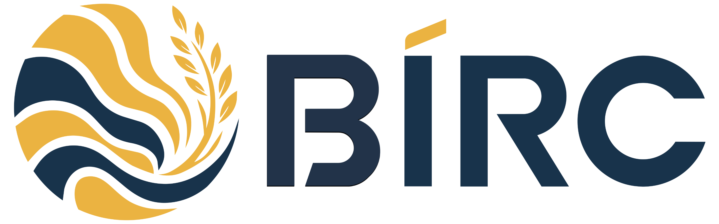 BIRC 2026 Logo